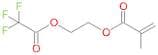 2-[(2,2,2-Trifluoroacetyl)oxy]ethyl 2-methyl-2-propenoate