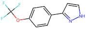 3-[4-(Trifluoromethoxy)phenyl]-1H-pyrazole