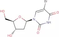 5-Bromo-2'-deoxyuridine