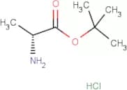 D-Alanine tert-butyl ester hydrochloride