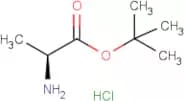 L-Alanine tert-butyl ester hydrochloride
