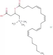Arachidoyl-DL-carnitine chloride