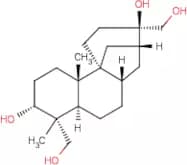 Aphidicolin from Nigrospora oryzae