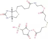 Sulphosuccinimidyl-2-(biotinamido)ethyl-1,3-dithiopropionate