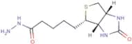 Biotin hydrazide