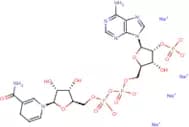 Nicotinamide adenine dinucleotide phosphate (reduced form) tetrasodium salt