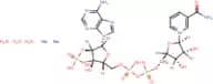 Nicotinamide adenine dinucleotide phosphate, disodium salt