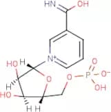b-Nicotinamide mononucleotide