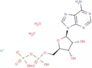 Adenosine 5'-diphosphate monopotassium salt