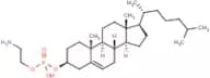Cholesteryl phosphorylethanolamine