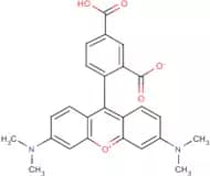 5-Carboxytetramethylrhodamine