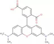 6-Carboxytetramethylrhodamine