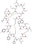 Endothelin-1