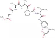 MeOSuc-Ala-Ala-Pro-Val-AMC