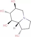 Castanospermine from Castanospermum austral