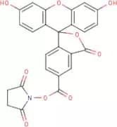 5-Carboxyfluorescein N-hydroxy succinimide ester