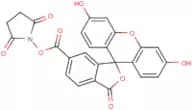 6-Carboxyfluorescein N-hydroxy succinimide ester