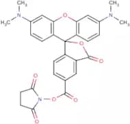 5(6)-Carboxytetramethylrhodamine N-hydroxysuccinimide ester