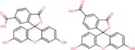 5(6)-Carboxyfluorescein