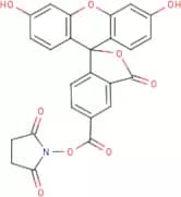 5(6)-Carboxyfluorescein N-hydroxy succinimide ester