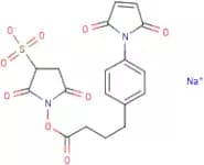 Sulphosuccinimidyl 4-(4-maleimidophenyl)butyrate