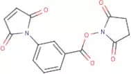 3-Maleimidobenzoyl-N-hydroxysuccinimide ester