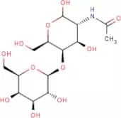 2-Acetamido-2-deoxy-4-O-(β-D-galactopyranosyl)-D-galactopyranose
