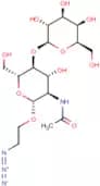 2-Azidoethyl 2-acetamido-2-deoxy-4-O-β-D-galactopyranosyl-β-D-glucopyranoside