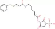 Sulphosuccinimidyl 6-[3-(2-pyridyldithio)propionamido]hexanoate