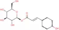 1-O-p-Coumaroyl β-D-glucopyranose