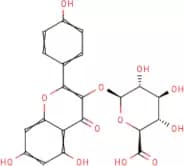 Kaempferol 3-O-β-D-glucuronide