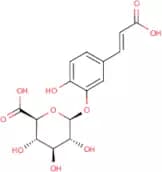 Caffeic acid 3-O-β-D-glucuronide