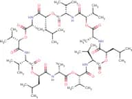 13C6-cereulide (20 µg/mL in acetonitrile)