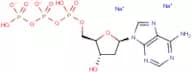 2'-Deoxyadenosine-5'-triphosphate disodium salt
