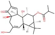 12-Deoxyphorbol 13-Isobutyrate