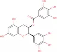 Epigallocatechin gallate