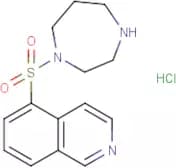 Fasudil Monohydrochloride Salt