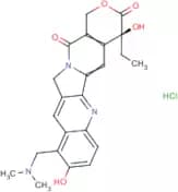 Topotecan Hydrochloride Salt