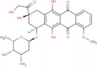 Doxorubicin Free Base