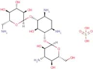 Kanamycin Solution (100mg/ml)