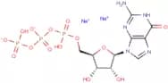 Guanosine-5'-triphosphate disodium salt