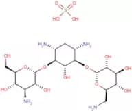 Kanamycin sulphate (1:1)