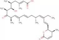 Leptomycin B