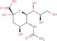 N-Acetylneuraminic acid