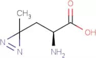 L-Photo-Leucine