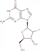 2'-Deoxy-2'-fluoroguanosine