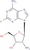 2'-Amino-2'-deoxy-2-fluoroadenosine