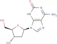 2'-Deoxyisoguanosine