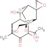 Fusarenon X Standard Solution