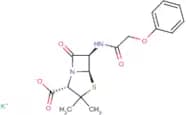 Penicillin V potassium